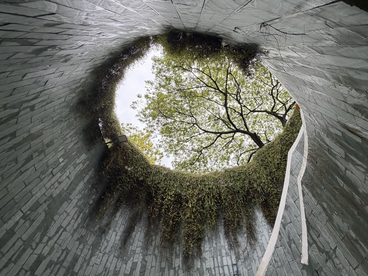 Singapour en 4 jours : multiculturalité 2.0